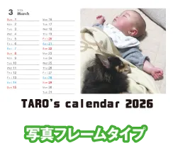 写真フレームタイプ
